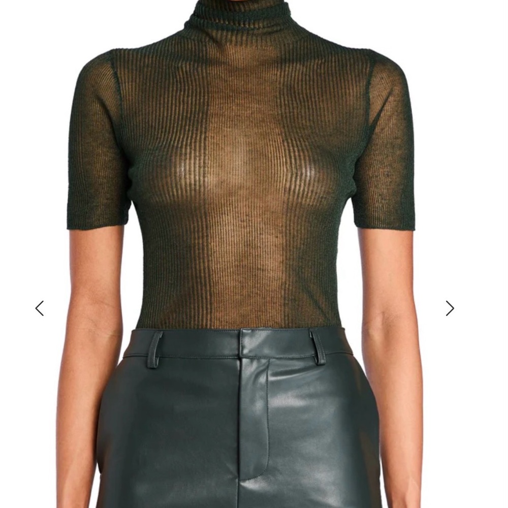 Seroya Paula Sheer Black Short Sleeve Turtleneck Top